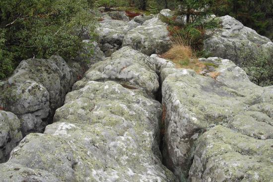Punkt Widokowy Skalne Czasze
